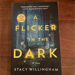 A flicker in the dark by Stacy Willingham